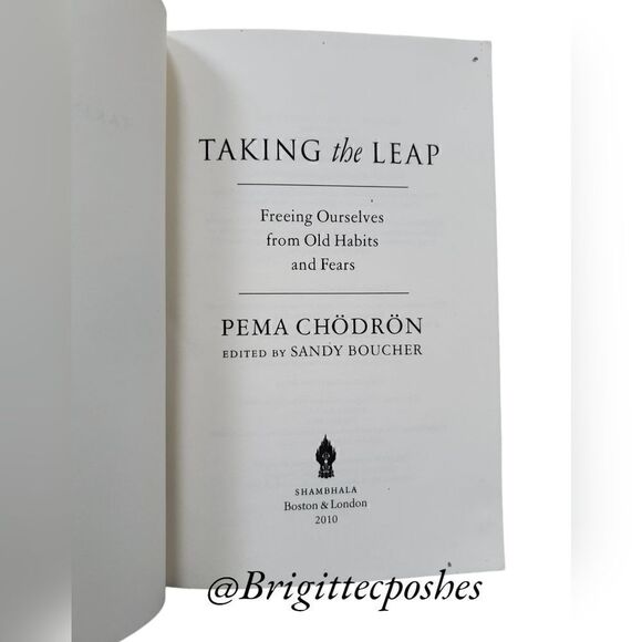 PEMA CHODRON Taking The Leap - Paperback - Picture 4 of 7